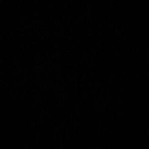 Meet your Posher, Anisa